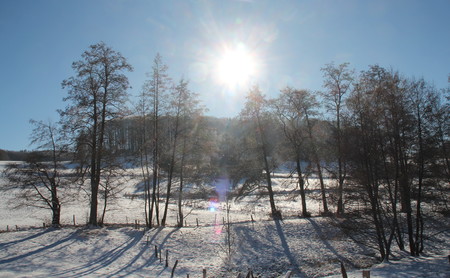 Winterlandschaft bei Gadernheim